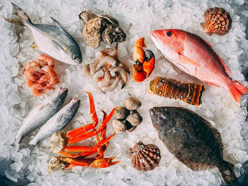 Fish and seafoods on ice