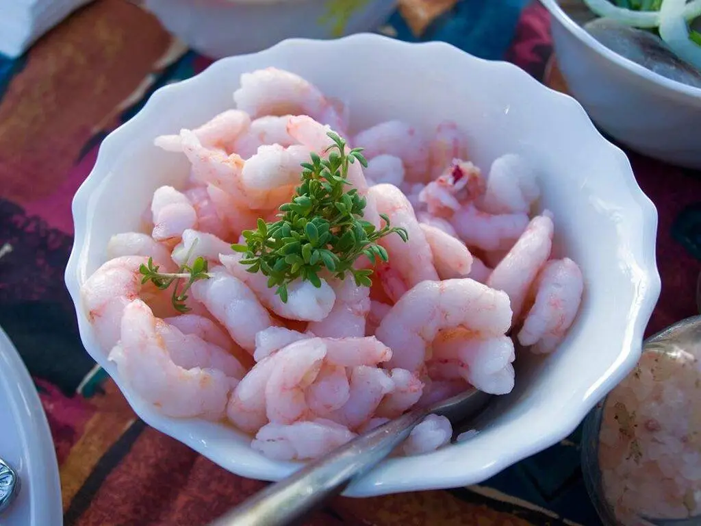 fresh shrimps cocktail