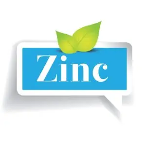 Blue speech bubble with 'Zinc' text and green leaves, representing oysters rich in zinc as a natural source.